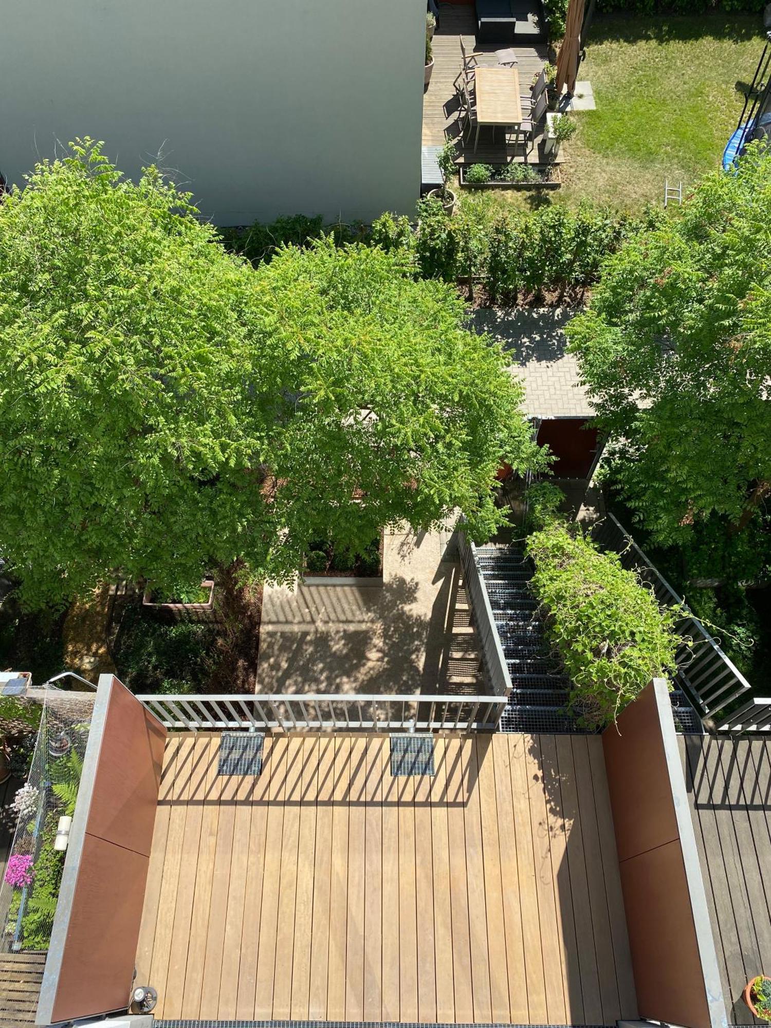 Townhouse Alaunpark Villa Dresda Exterior foto